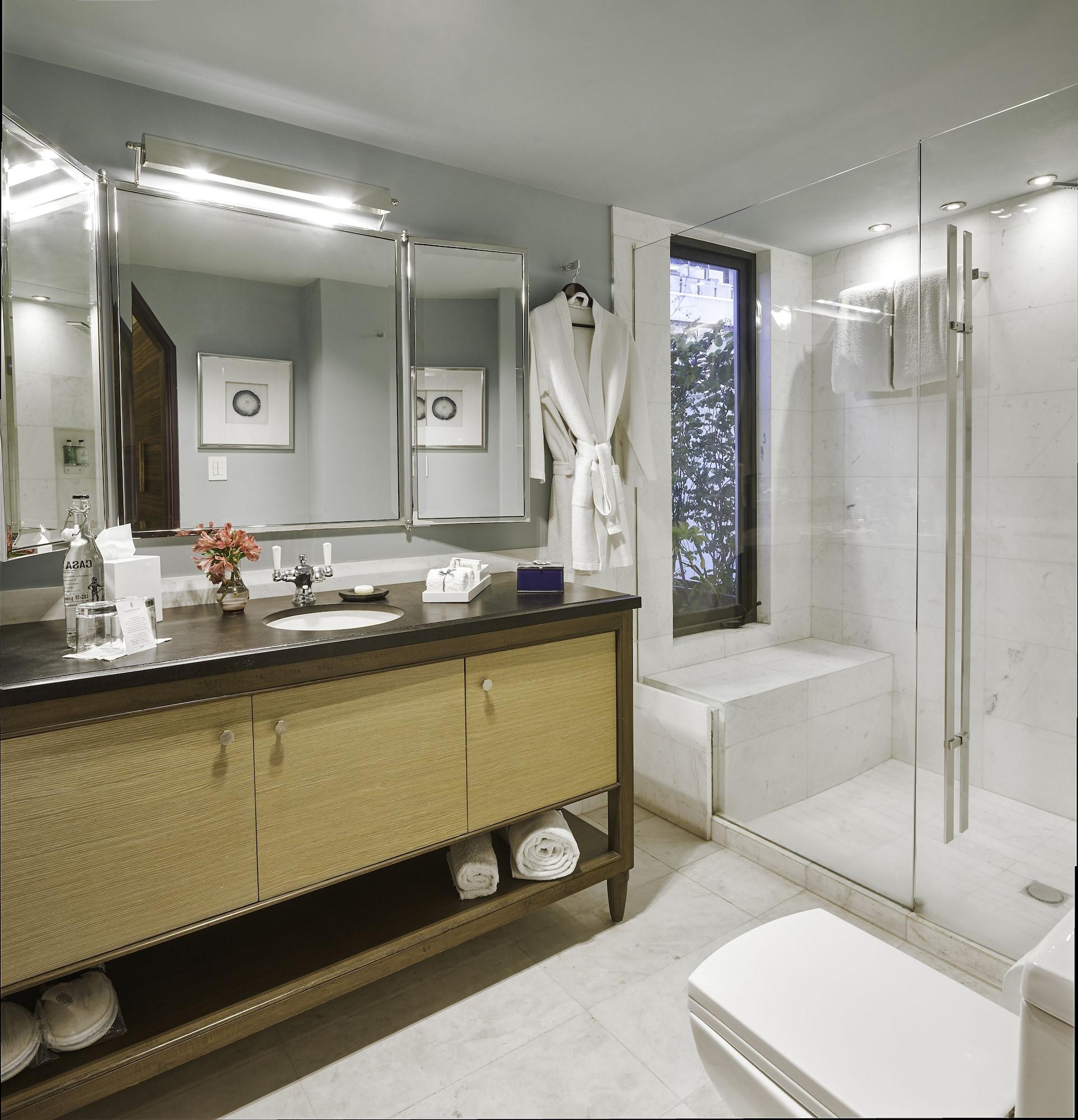 Hotel Hippodrome Condesa Mexico-stad
